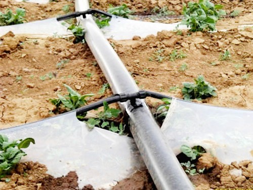 Soft water belt  TRS-S1